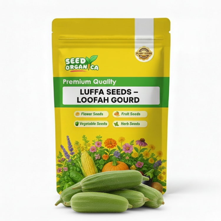 Luffa Seeds – Loofah Gourd