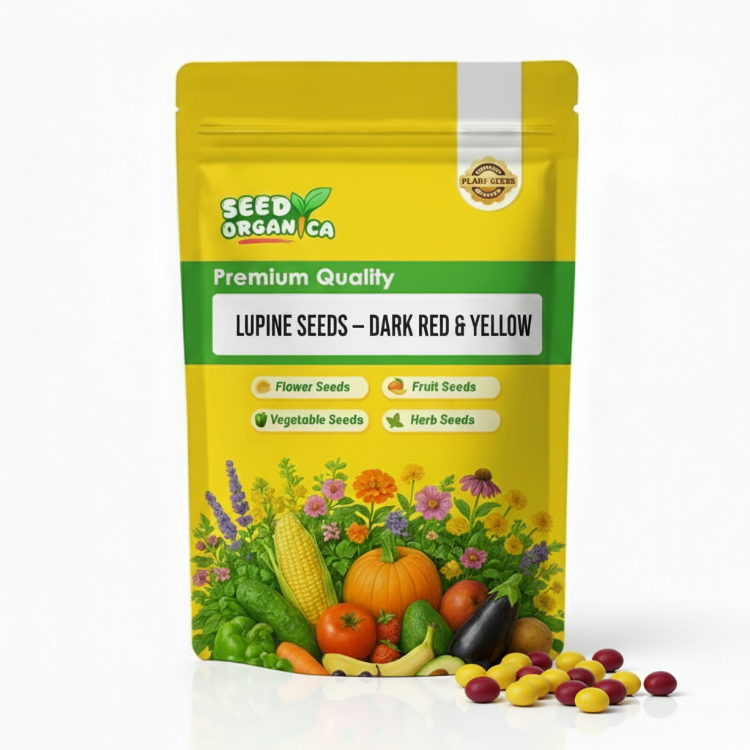 Lupine Seeds – Dark Red & Yellow