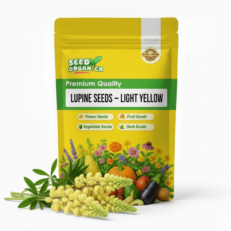 Lupine Seeds – Light Yellow
