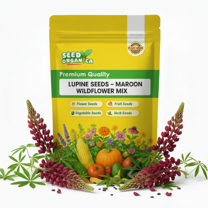 Lupine Seeds – Maroon Wildflower Mix
