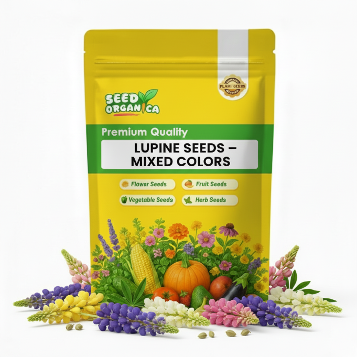Lupine Seeds – Mixed Colors