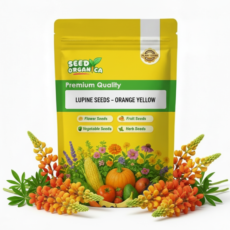 Lupine Seeds – Orange Yellow
