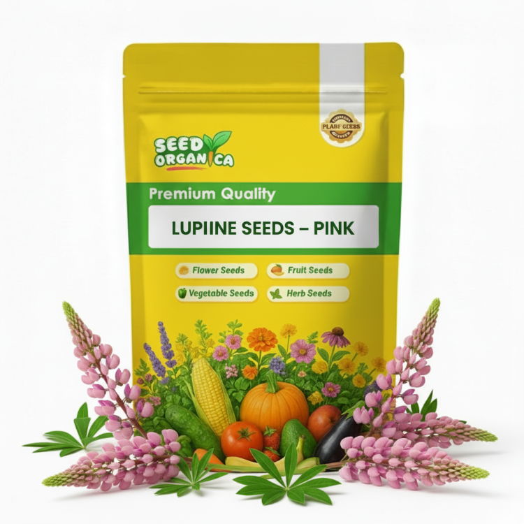 Lupine Seeds – Pink
