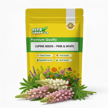 Lupine Seeds – Pink & White