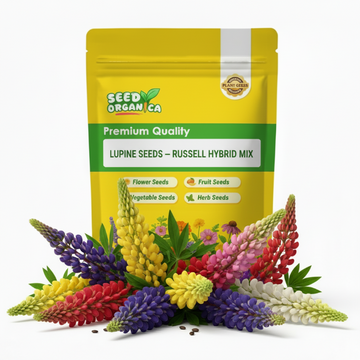 Lupine Seeds – Russell Hybrid Mix