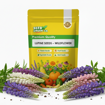 Lupine Seeds – Wildflower