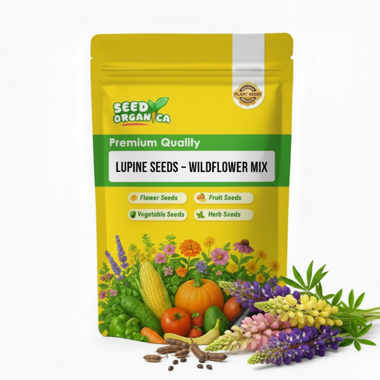 Lupine Seeds – Wildflower Mix