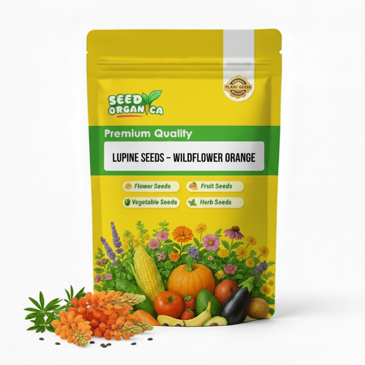 Lupine Seeds – Wildflower Orange
