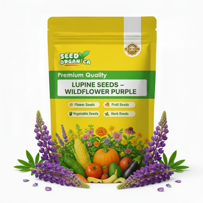 Lupine Seeds – Wildflower Purple