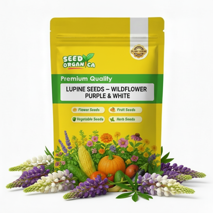 Lupine Seeds – Wildflower Purple & White