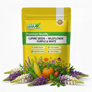 Lupine Seeds – Wildflower Purple & White