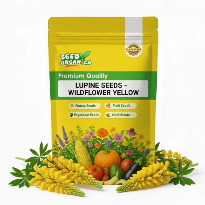 Lupine Seeds – Wildflower Yellow