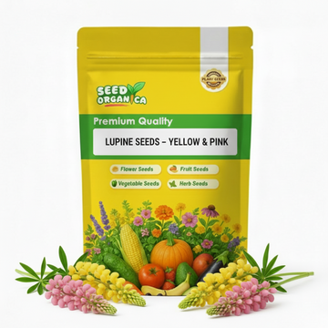 Lupine Seeds – Yellow & Pink