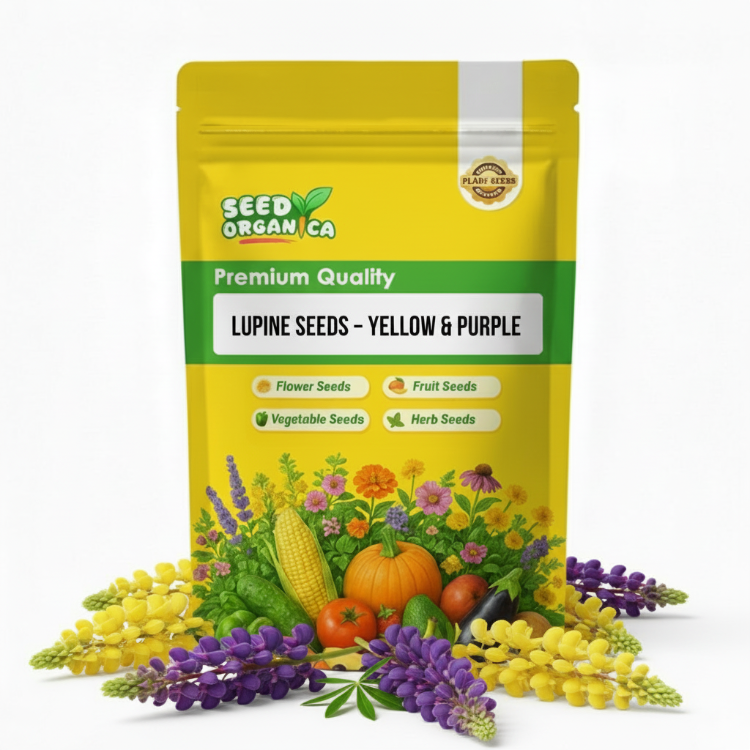 Lupine Seeds – Yellow & Purple