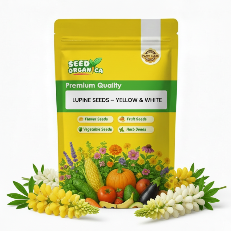 Lupine Seeds – Yellow & White