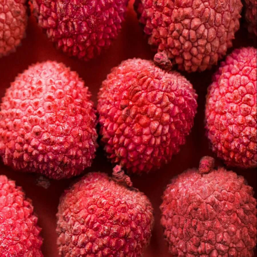 Lychee Seeds - Bright Red