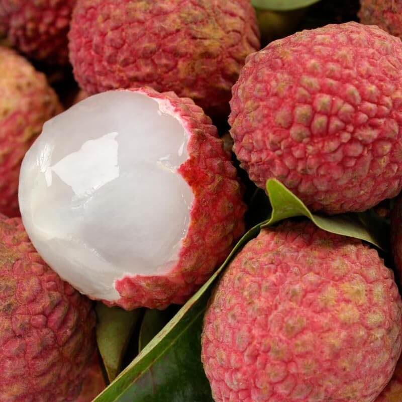 Lychee Seeds - No Mai Tsze