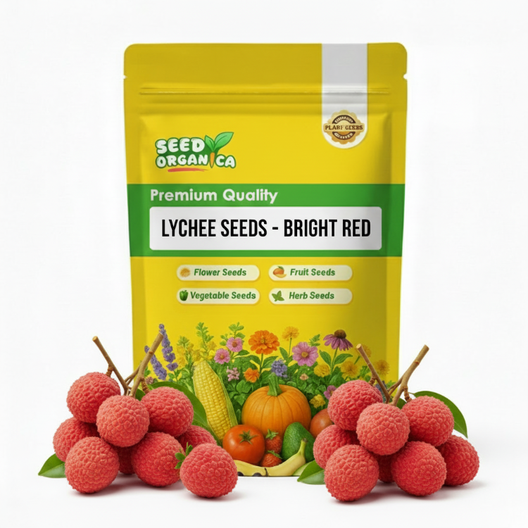 Bright Red Lychee Seeds | Tropical Fruit Tree Planting Seeds