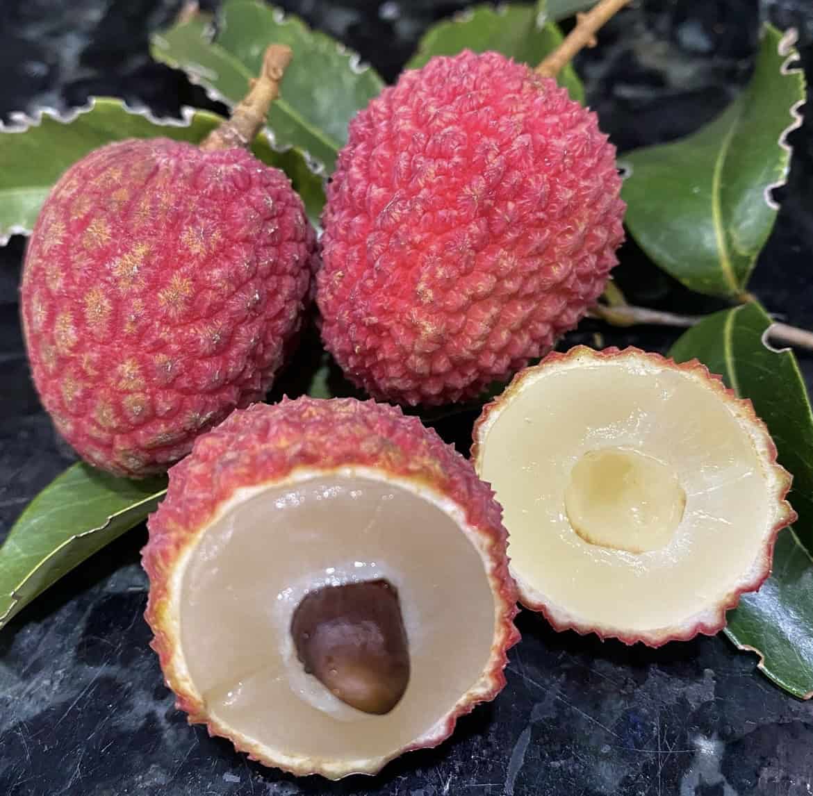 Lychee Seeds - Hak Ip