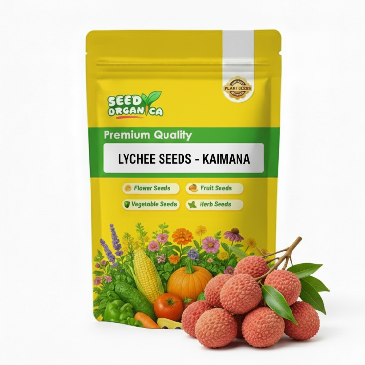 Lychee Seeds - Kaimana