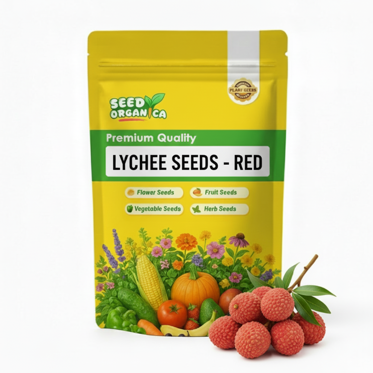 Lychee Seeds - Red