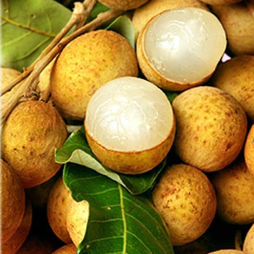 Lychee Seeds - Yellow