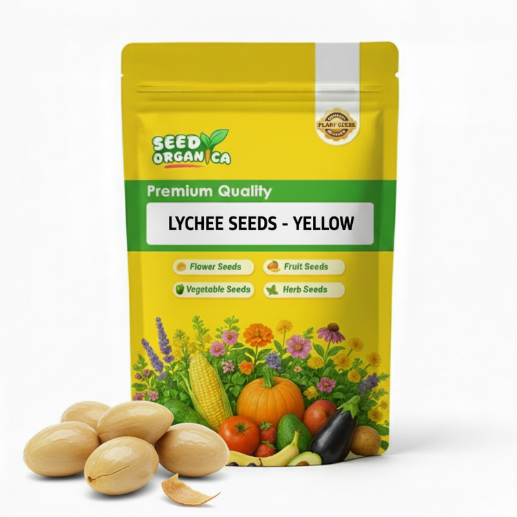 Lychee Seeds - Yellow