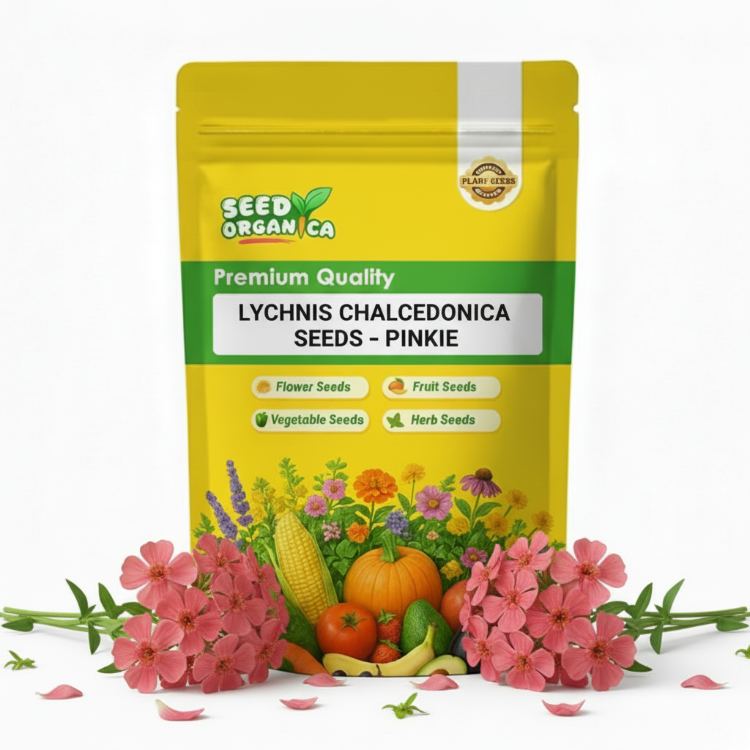 Lychnis Chalcedonica Seeds – Pinkie
