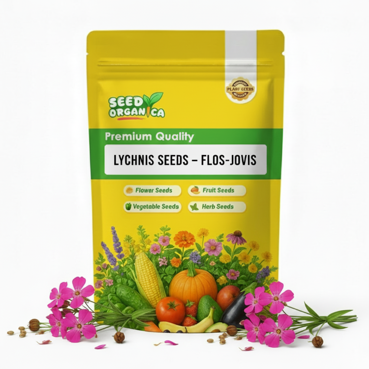 Lychnis Seeds – Flos-Jovis