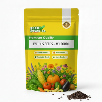 Lychnis Seeds – Wilfordii
