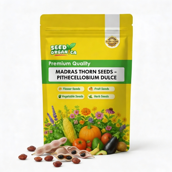 Madras Thorn Seeds – Pithecellobium dulce