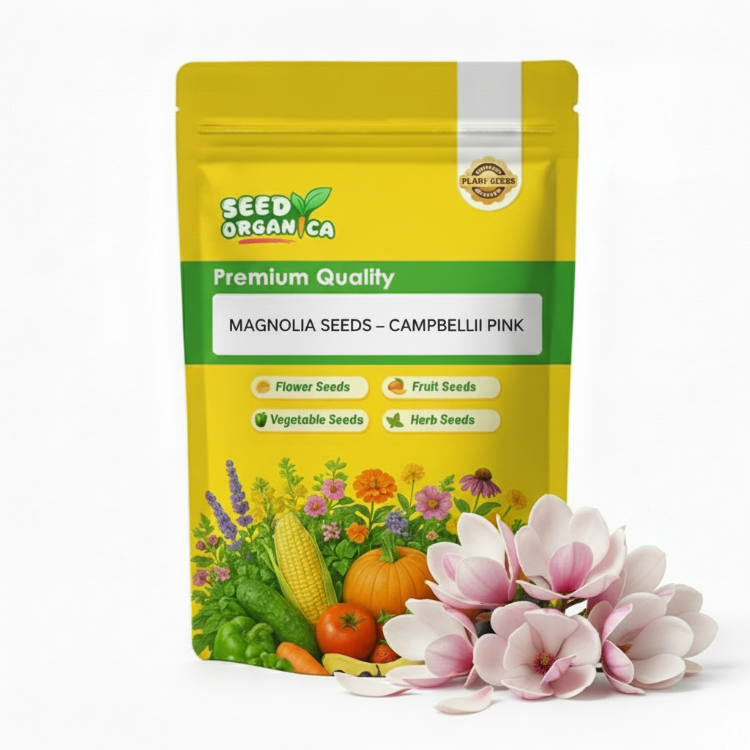 Magnolia Seeds – Campbellii Pink