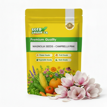 Magnolia Seeds – Campbellii Pink