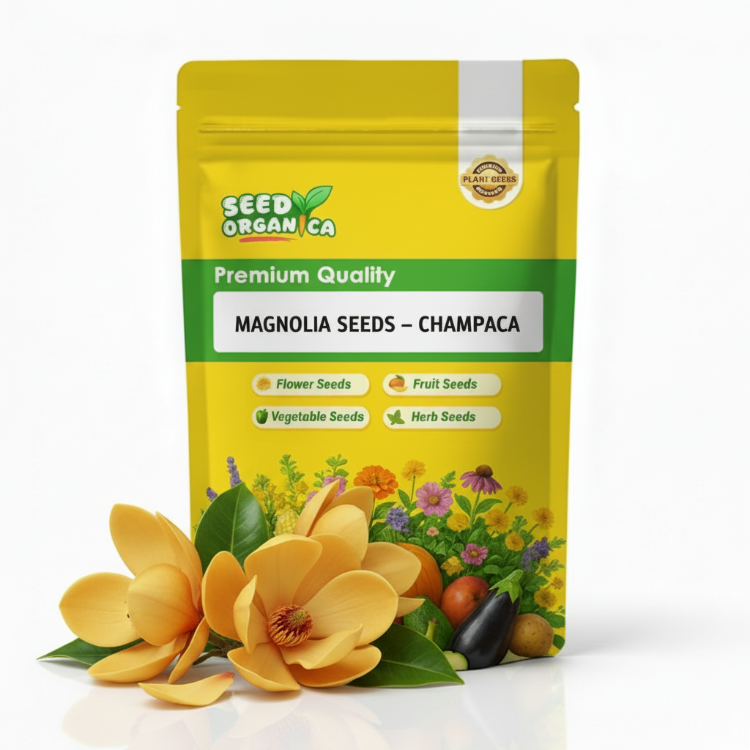 Magnolia Seeds – Champaca