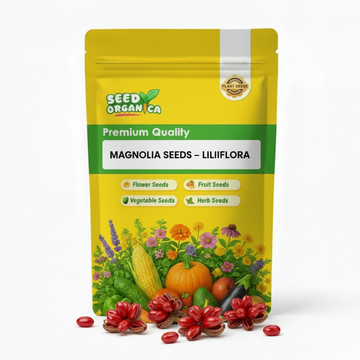 Magnolia Seeds – Liliiflora