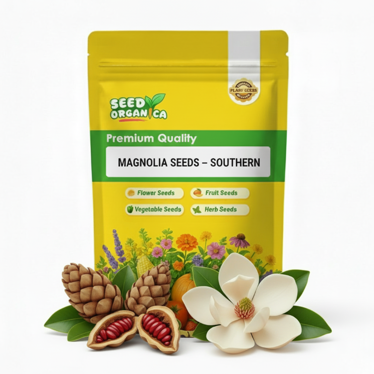 Magnolia Seeds – Southern