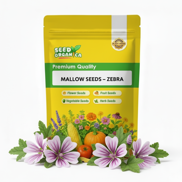 Mallow Seeds – Zebra