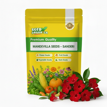 Mandevilla Seeds – Sanderi
