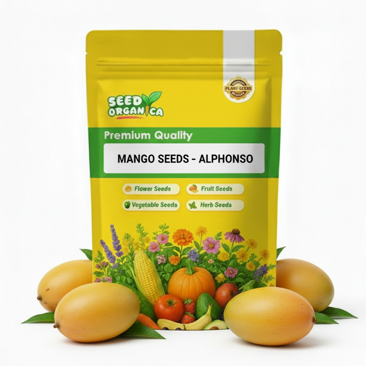 Mango Seeds – Alphonso