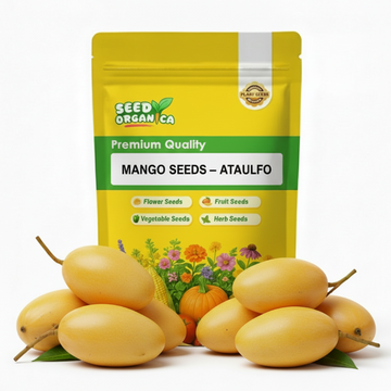 Mango Seeds – Ataulfo