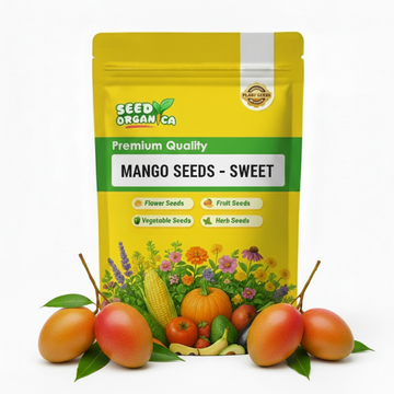 Mango Seeds – Sweet