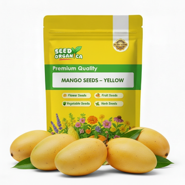 Mango Seeds – Yellow