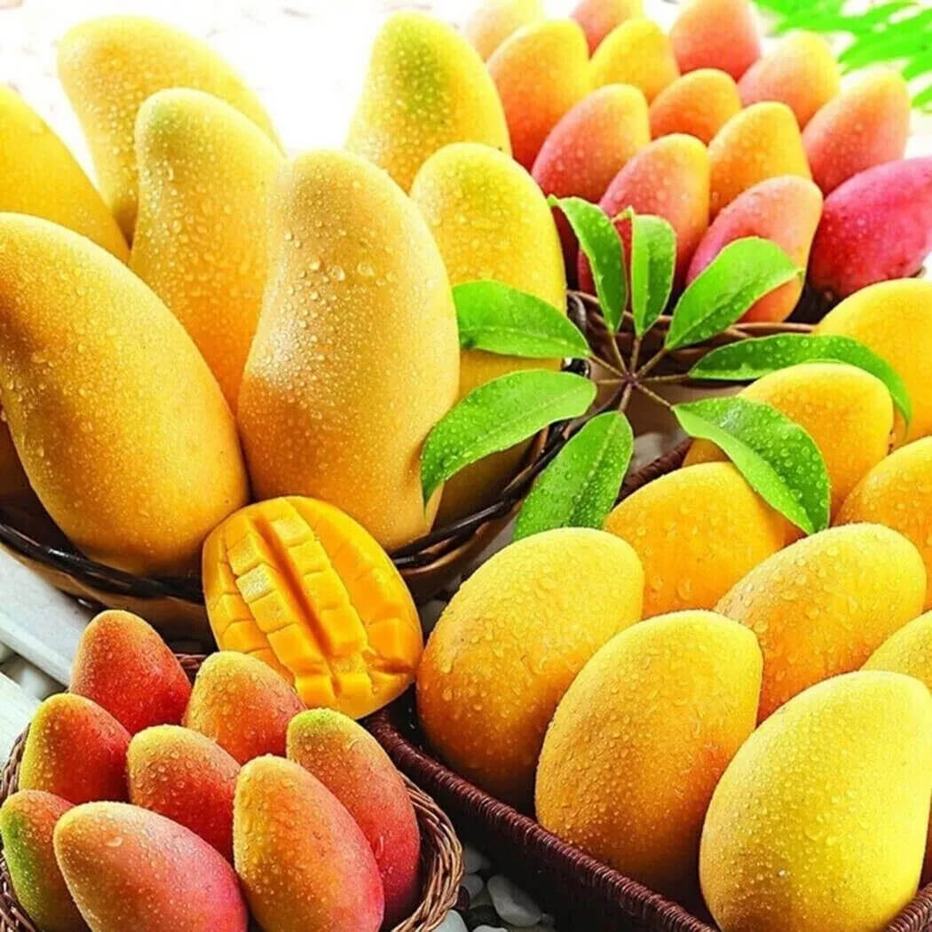 Mango Seeds – Sweet