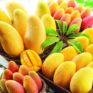 Mango Seeds – Sweet