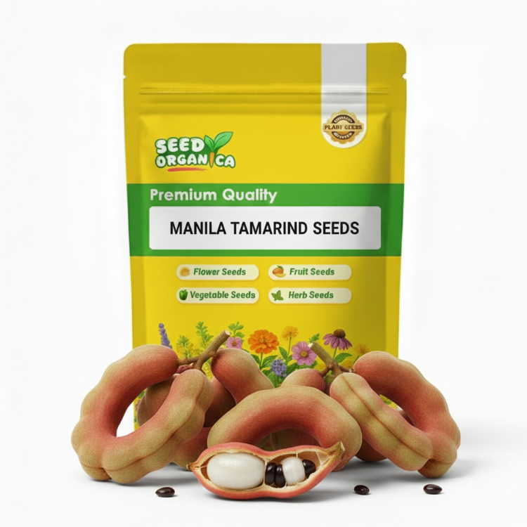 Manila Tamarind Seeds