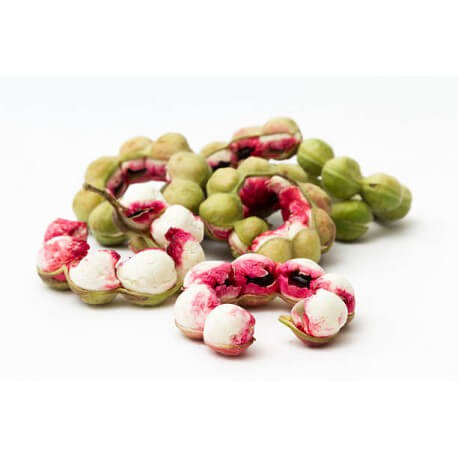 Manila Tamarind Seeds