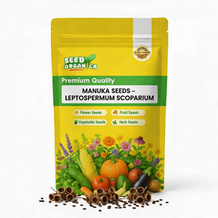 Manuka Seeds – Leptospermum scoparium