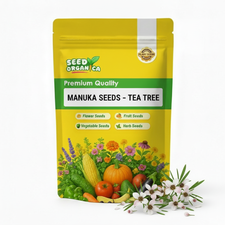 Manuka Seeds – Tea Tree