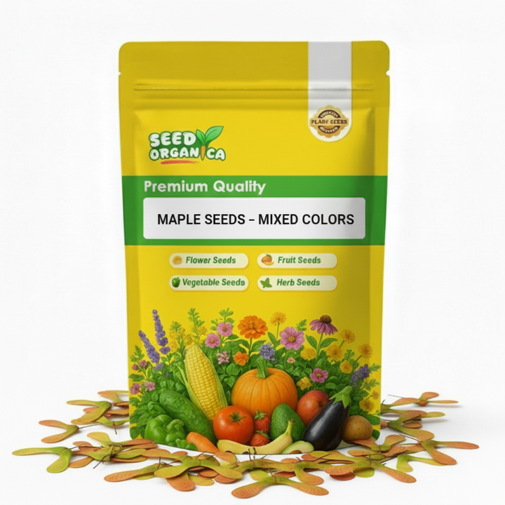 Maple Seeds All Varieties – Buy Online | Seed Organica
