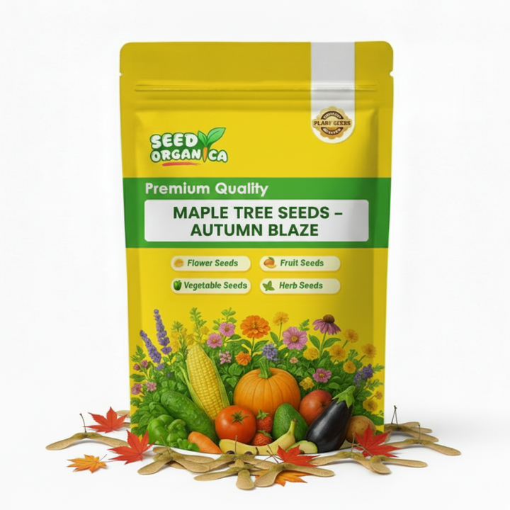 Maple Seeds All Varieties – Buy Online | Seed Organica